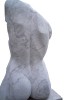 torso1-kopie.jpg